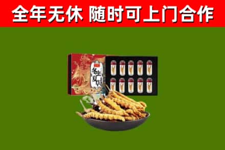 濠江区回收冬虫夏草价格
